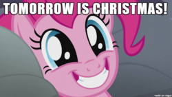 Size: 610x343 | Tagged: safe, pinkie pie, g4, christmas, christmas eve, excited, fact, happy, image macro, meme