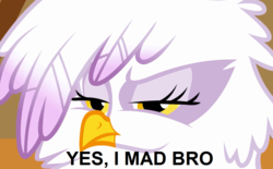 Size: 1283x798 | Tagged: safe, edit, edited screencap, screencap, gilda, griffon, g4, griffon the brush off, season 1, angry, feather, female, fluffy, image macro, meme, reaction image, solo, u mad