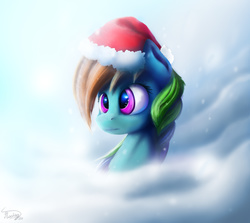 Size: 1421x1268 | Tagged: safe, artist:thefloatingtree, rainbow dash, g4, female, hat, portrait, santa hat, solo