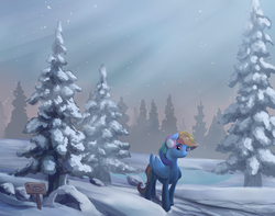 Size: 2000x1572 | Tagged: safe, artist:viwrastupr, rainbow dash, pony, g4, tanks for the memories, earmuffs, female, solo, winter