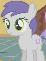 Size: 426x568 | Tagged: safe, screencap, tornado bolt, earth pony, pony, call of the cutie, g4, solo