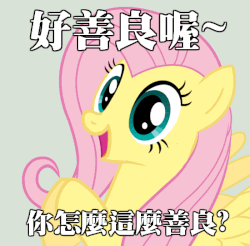 Size: 550x542 | Tagged: artist needed, source needed, safe, fluttershy, g4, animated, chinese, clapping, clapping ponies, female, gif, image macro, meme, reaction image, translated in the description