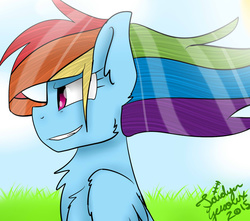 Size: 1024x907 | Tagged: safe, artist:jaidyn-fangtrap, rainbow dash, g4, female, solo, windswept mane