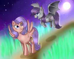 Size: 1280x1024 | Tagged: safe, artist:mlp-firefox5013, oc, oc only, oc:moon dancer, bat pony, pegasus, pony, night