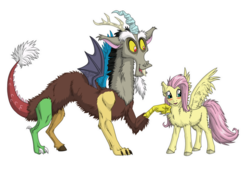 Size: 1024x709 | Tagged: safe, artist:shade-silverwing, discord, fluttershy, g4, blushing, female, fluffy, male, ship:discoshy, shipping, straight