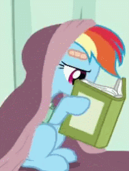 Size: 191x253 | Tagged: safe, screencap, rainbow dash, pegasus, pony, g4, read it and weep, season 2, animated, bandaid, blanket, book, cute, dashabetes, female, gif, hoof hold, mare, open mouth, reading, sitting, solo, talking