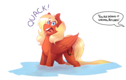 Size: 1280x820 | Tagged: safe, artist:lolepopenon, oc, oc only, oc:gabriel titanfeather, duck pony, pegasus, pony, behaving like a bird, dialogue, pegaduck, quack, simple background, solo, transparent background