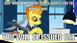 Size: 750x422 | Tagged: safe, edit, edited screencap, screencap, spitfire, g4, chesty puller, clothes, desk, drill sergeant, female, image macro, marines, marriage, meme, necktie, quote, solo, spitfire's office, uniform, wonderbolts dress uniform