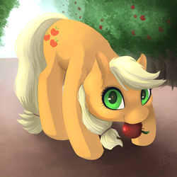 Size: 2000x2000 | Tagged: safe, artist:miss-cats, applejack, g4, apple, apple tree, cute, female, food, high res, jackabetes, looking at you, mouth hold, orchard, solo, tree