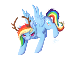 Size: 1486x1323 | Tagged: safe, artist:miss-cats, rainbow dash, g4, female, looking at you, reindeer antlers, simple background, smirk, solo, spread wings, white background