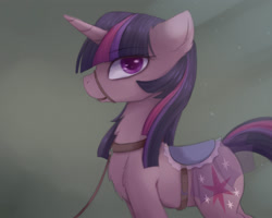 Size: 2500x2000 | Tagged: safe, artist:magnaluna, twilight sparkle, pony, unicorn, g4, bridle, chest fluff, collar, female, fluffy, high res, leash, looking at you, mare, saddle, solo, unicorn twilight