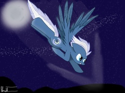 Size: 2592x1936 | Tagged: safe, artist:mlp-whirl-wind, night glider, g4, backwards cutie mark, female, solo