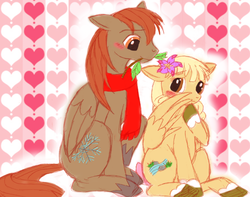 Size: 787x620 | Tagged: safe, artist:kiraradaisuki, oc, oc only, oc:kirarasprings, oc:winterlight, pegasus, pony, blushing, clothes, colored hooves, couple, cute, female, flower, heart, heart background, hearts and hooves day, love, male, mare, mouth hold, scarf, stallion, straight, wing hands