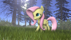 Size: 1920x1080 | Tagged: safe, artist:enderdiamondd, fluttershy, g4, 3d, female, field, solo, source filmmaker, tree