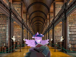 Size: 1280x967 | Tagged: safe, artist:mamandil, artist:uponia, twilight sparkle, alicorn, pony, g4, big smile, book, bookgasm, bust, dublin, female, ireland, irl, library, mare, photo, ponies in real life, that pony sure does love books, trinity library, twilight sparkle (alicorn), twilight's joy, vector