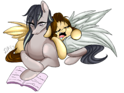 Size: 1024x768 | Tagged: safe, artist:dragonfoxgirl, oc, oc only, oc:hurricane, oc:kite, pony, duo, reading, simple background, sleeping, transparent background