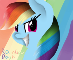 Size: 1024x853 | Tagged: safe, artist:appleluna28, rainbow dash, g4, female, solo