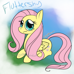Size: 2000x2000 | Tagged: safe, artist:brashgirl901, fluttershy, g4, cute, female, high res, looking at you, shyabetes, solo