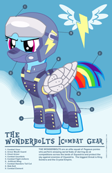 Size: 600x927 | Tagged: safe, artist:samoht-lion, rainbow dash, pegasus, pony, g4, the cutie re-mark, alternate timeline, apocalypse dash, armor, clothes, cloud, crystal war timeline, diagram, female, glare, goggles, helmet, infographic, mare, prosthetic limb, solo, uniform, wonderbolts combat gear