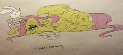 Size: 3174x1421 | Tagged: safe, artist:opalacorn, angel bunny, fluttershy, pegasus, pony, g4, crying, duo, farewell, lidded eyes, lying, new year, pony shaming, sign, spread wings, text, traditional art