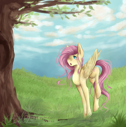 Size: 1024x1036 | Tagged: safe, artist:egowux, fluttershy, g4, :o, female, fluttertree, solo, tree