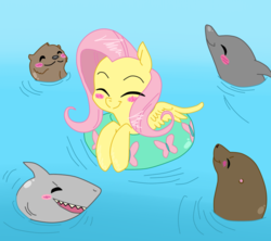 Size: 900x800 | Tagged: safe, artist:glacierclear edits, artist:krazykari, edit, fluttershy, dolphin, otter, seal, shark, g4, this isn't as bad as it looks, water