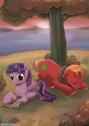 Size: 600x849 | Tagged: safe, artist:piripaints, big macintosh, twilight sparkle, alicorn, pony, g4, book, female, male, mare, reading, ship:twimac, shipping, sleeping, straight, tree, twilight sparkle (alicorn)