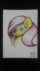 Size: 720x1280 | Tagged: safe, artist:cutiepoppony, fluttershy, butterfly, g4, eye, eyes, female, hair, paper, smiling, solo
