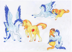 Size: 6876x5000 | Tagged: safe, artist:dawn22eagle, braeburn, soarin', earth pony, pegasus, pony, g4, absurd resolution, coat markings, colored hooves, colored wings, colored wingtips, duo, feather, gay, hatless, hug, kissing, male, missing accessory, preening, ship:soarburn, shipping, socks (coat markings), stallion, tail, tail feathers, traditional art, wingboner, winghug, wings