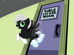 Size: 1024x763 | Tagged: safe, artist:smartangel11, pegasus, pony, danny phantom, locker room, memory blank, ponified, solo, watermark