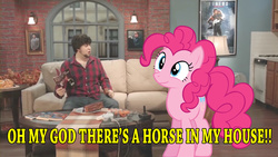 Size: 1280x720 | Tagged: safe, edit, pinkie pie, earth pony, human, pony, g4, female, food games, irl, irl human, jontron, photo, ponies in real life