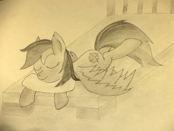 Size: 2592x1944 | Tagged: artist needed, safe, daring do, g4, bed, cute, female, monochrome, sleeping, solo, traditional art