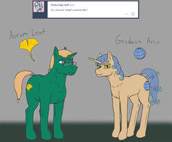 Size: 1026x850 | Tagged: safe, artist:widjetarcs, oc, oc only, oc:aurum leaf, oc:geodaisia arcs, pony, unicorn, female, male, mare, stallion