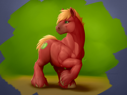 Size: 1280x960 | Tagged: safe, artist:wiredhooves, big macintosh, earth pony, pony, g4, male, muscles, nudity, realistic, semi-realistic, sheath, solo, stallion
