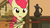 Size: 1366x768 | Tagged: safe, screencap, apple bloom, earth pony, pony, family appreciation day, g4, my little pony: friendship is magic, broom, female, solo