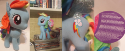 Size: 4500x1850 | Tagged: safe, rainbow dash, g4, cute, irl, photo, plushie, solo