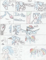 Size: 2504x3272 | Tagged: safe, artist:luvsondash, rainbow dash, bat pony, pony, g4, comic, crossover, crossover shipping, female, high res, interspecies, male, rainbowbat, shipping, sonic the hedgehog, sonic the hedgehog (series), sonicdash, straight, traditional art