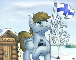 Size: 1280x1024 | Tagged: safe, artist:potes, oc, oc only, oc:sketchy scribbles, pegasus, pony, alcohol, birch tree, finland, finnish independence day, flag, food, independence day, male, patriotic, proud, sauna, snow, stallion, tree