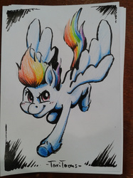 Size: 1280x1707 | Tagged: safe, artist:taritoons, rainbow dash, g4, female, german comic con, solo, traditional art