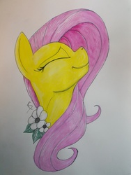 Size: 3033x4040 | Tagged: safe, artist:scribblepwn3, fluttershy, pegasus, pony, g4, female, pen drawing, portrait, solo, traditional art, watercolor painting