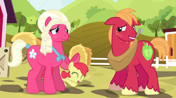 Size: 2500x1400 | Tagged: safe, artist:anarchemitis, apple bloom, big macintosh, earth pony, pony, brotherhooves social, g4, blushing, fake, female, laughing, male, orchard blossom, stallion, tail wrap, what a twist
