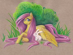 Size: 1024x770 | Tagged: safe, artist:thiefofcookies, fluttershy, rabbit, g4, traditional art