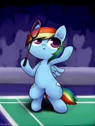 Size: 960x1280 | Tagged: safe, artist:roxandasher, rainbow dash, pegasus, pony, g4, background pony, badminton, bipedal, chest fluff, crowd, cute, ear fluff, female, focused, hoof hold, magnetic hooves, mare, solo focus, sports