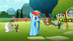 Size: 1280x720 | Tagged: safe, screencap, rainbow dash, duck, flying squirrel, mallard, pegasus, pony, rabbit, g4, may the best pet win, season 2, animal, duckling, female, find a pet, fluttershy's cottage, male, mare, youtube link