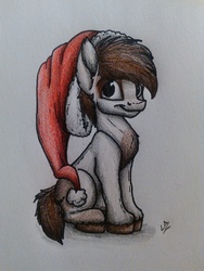 Size: 2400x3200 | Tagged: safe, artist:lupiarts, part of a set, pipsqueak, pony, g4, advent calendar, hat, high res, male, santa hat, solo, traditional art