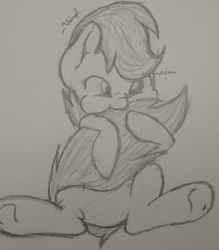 Size: 2340x2668 | Tagged: safe, artist:_vinyl, scootaloo, g4, cute, cutealoo, female, high res, monochrome, nom, solo, tail bite, traditional art