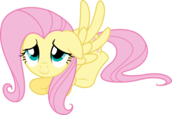 Size: 5000x3331 | Tagged: safe, artist:vulthuryol00, fluttershy, pony, g4, hurricane fluttershy, absurd resolution, cute, female, floppy ears, shyabetes, simple background, smiling, solo, transparent background, vector