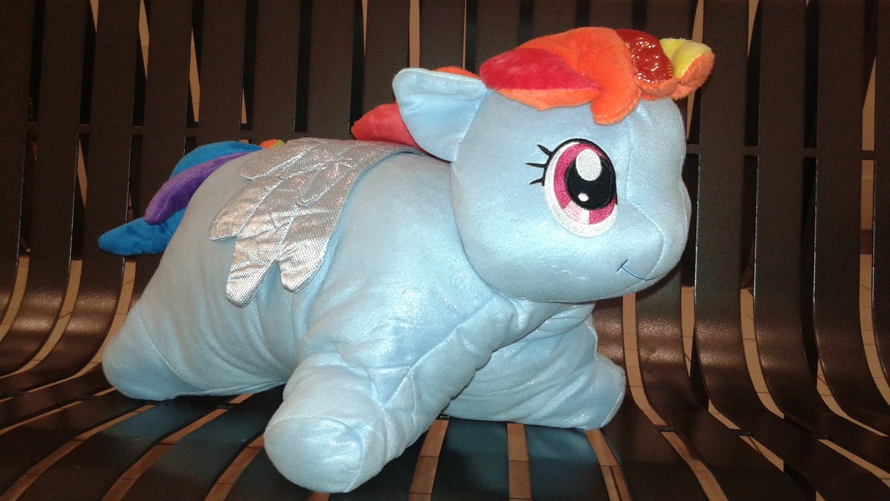 1040675 Irl Photo Pillow Pet Ponies Pony Rainbow Dash Safe