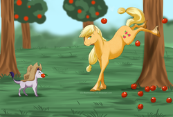 Size: 1024x691 | Tagged: safe, artist:blueheart417, applejack, oc, oc:tanzanite, dracony, hybrid, g4, applebucking, applejack mid tree-buck facing the left with 3 apples falling down, applejack mid tree-buck with 3 apples falling down, foalsitter, interspecies offspring, offspring, parent:rarity, parent:spike, parents:sparity