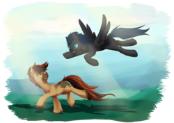 Size: 1280x905 | Tagged: safe, artist:murzik-teijiro, oc, oc only, oc:melodic stream, oc:solar wind, earth pony, pegasus, pony, blank flank, cute, flying, long tail, running, spread wings, unshorn fetlocks